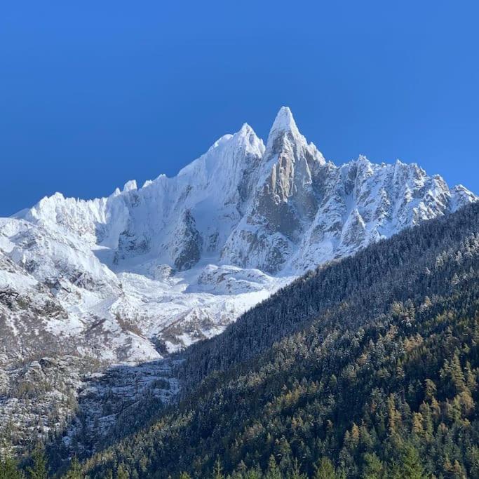 Belle Vue Des Praz Lägenhet Chamonix Exteriör bild